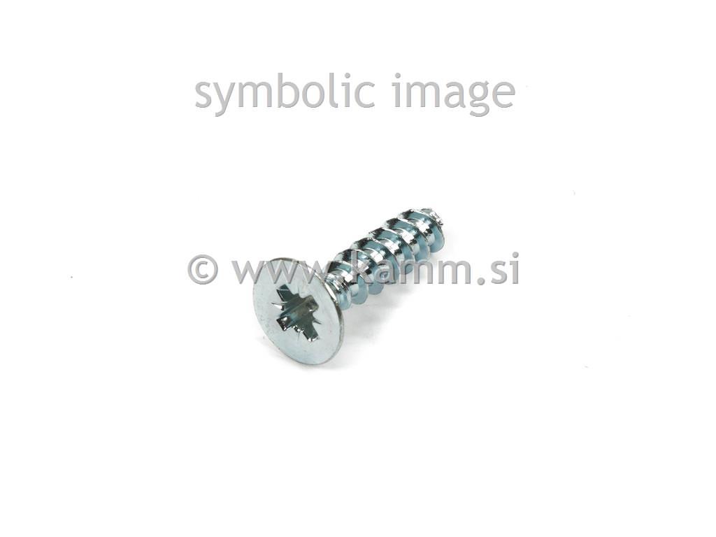 ZN PT VIJAK KA 3.0X 10 BN 13576