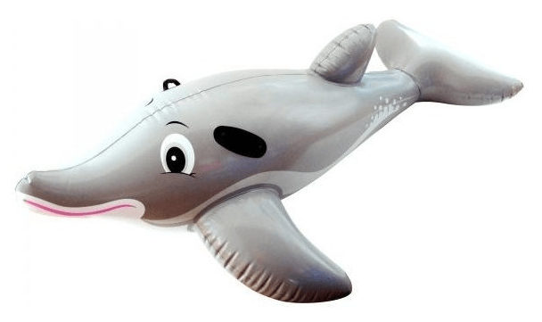NAPUHLJIVI DUPIN