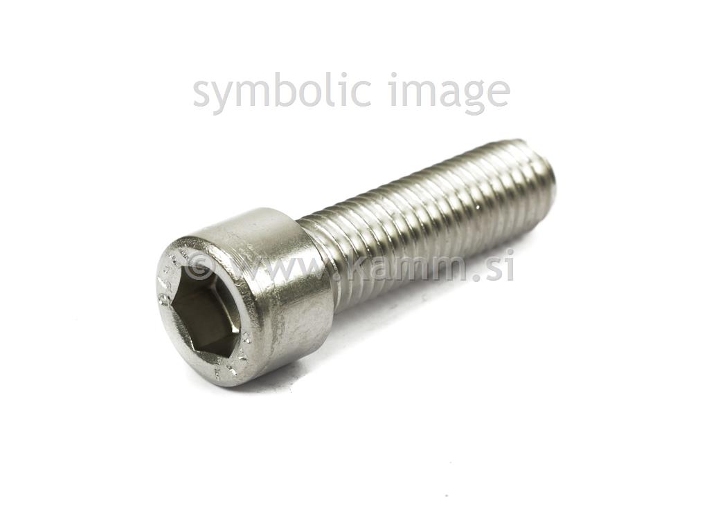 RF imbus vijak M10X60 A2