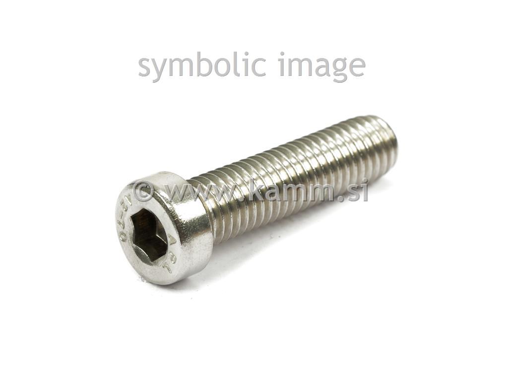 RF imbus vijak M6X10 A2