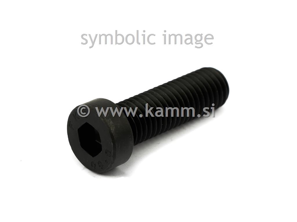 Črni imbus vijak M12X25 8.8