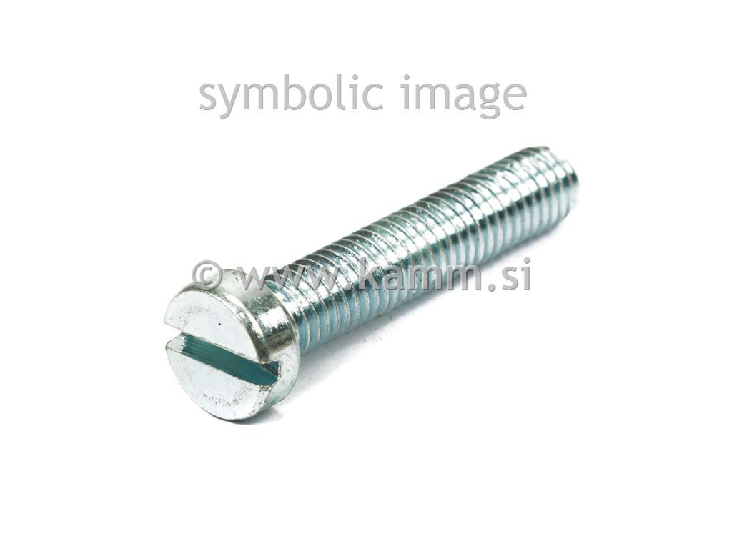 ZN VIJAK CIL.M 6X 25 84