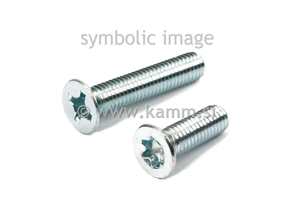 ZN VIJAK VGR.+ M 6 X 12 965