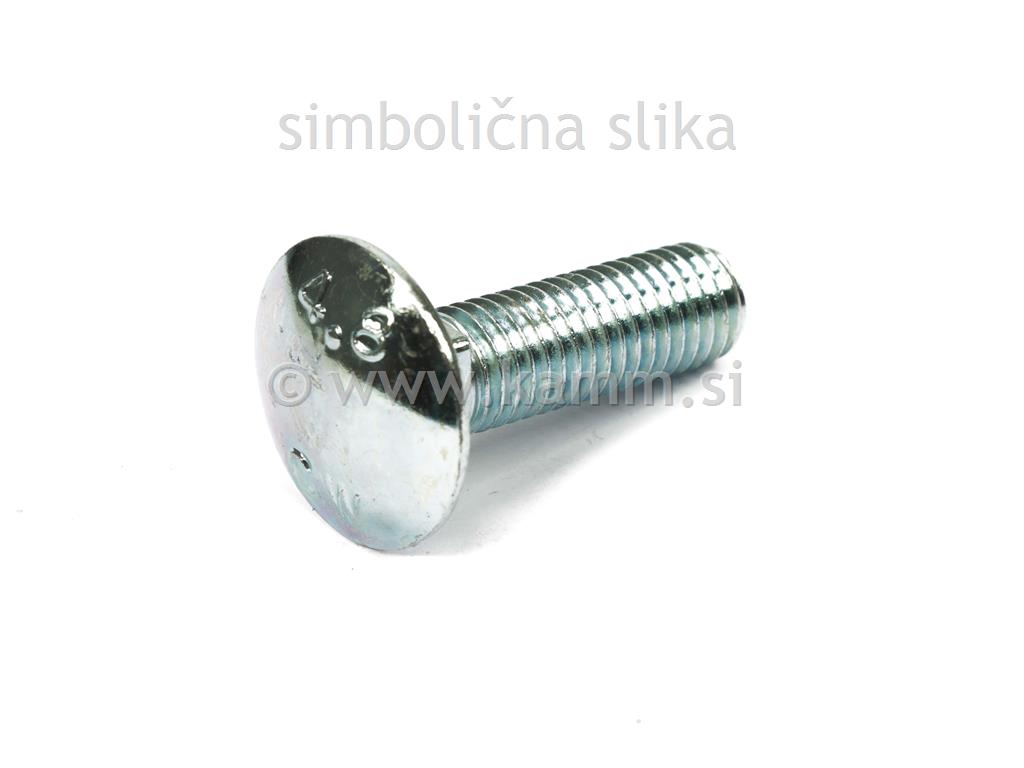 ZN SPONSKI VIJAK M10X 55 8.8 603