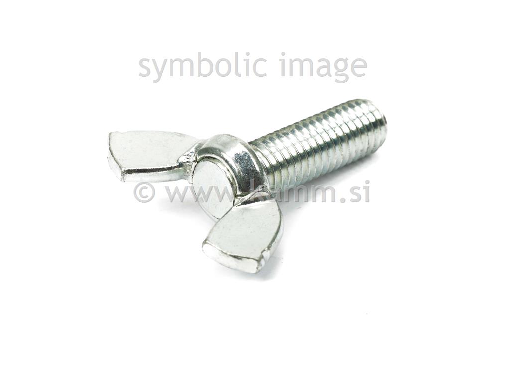 ZN KRILNI VIJAK M10X70 316