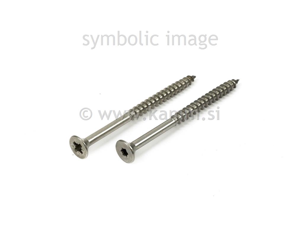 RF IVER VIJAK 4.5X 40 9047 TORX