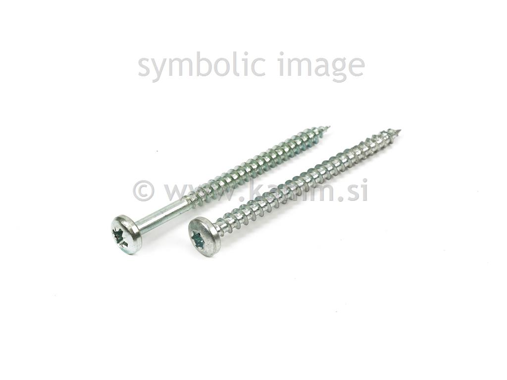 ZN IVER VIJAK CIL. 5.0X 25