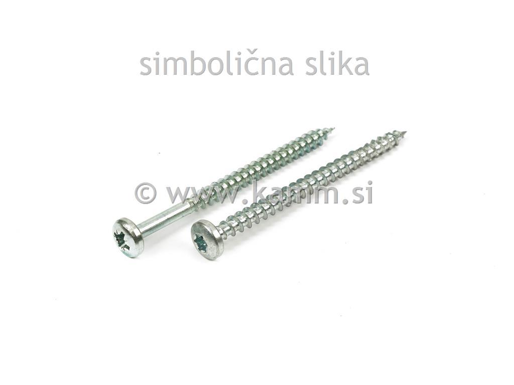 ZN IVER VIJAK CIL. 4.5X 25 TORX