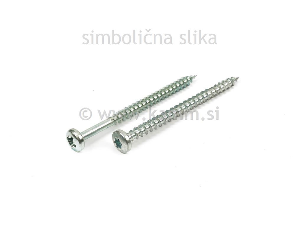 ZN IVER VIJAK CIL. 4.5X 30 TORX